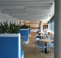 SWED-BANK įrengimas, Savanorių g. 5, Vilnius